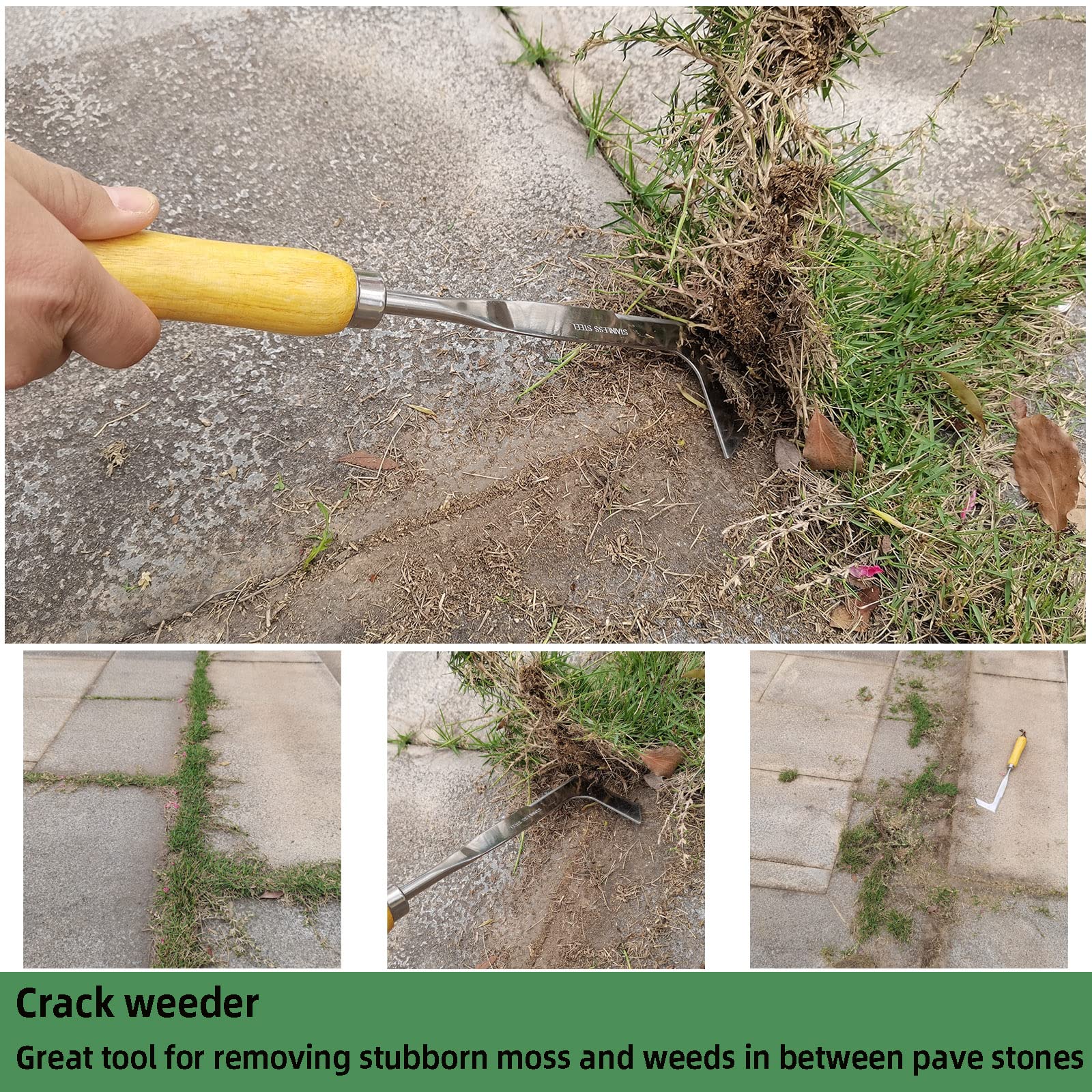 Stainless Steel Crack Weeder Tool with Ash Handle - Manual Crevice Weeding Tool for Lawn, Yard & Garden - Perfect Gardening Gift for Weed Removal Between Pavers and Sidewalks