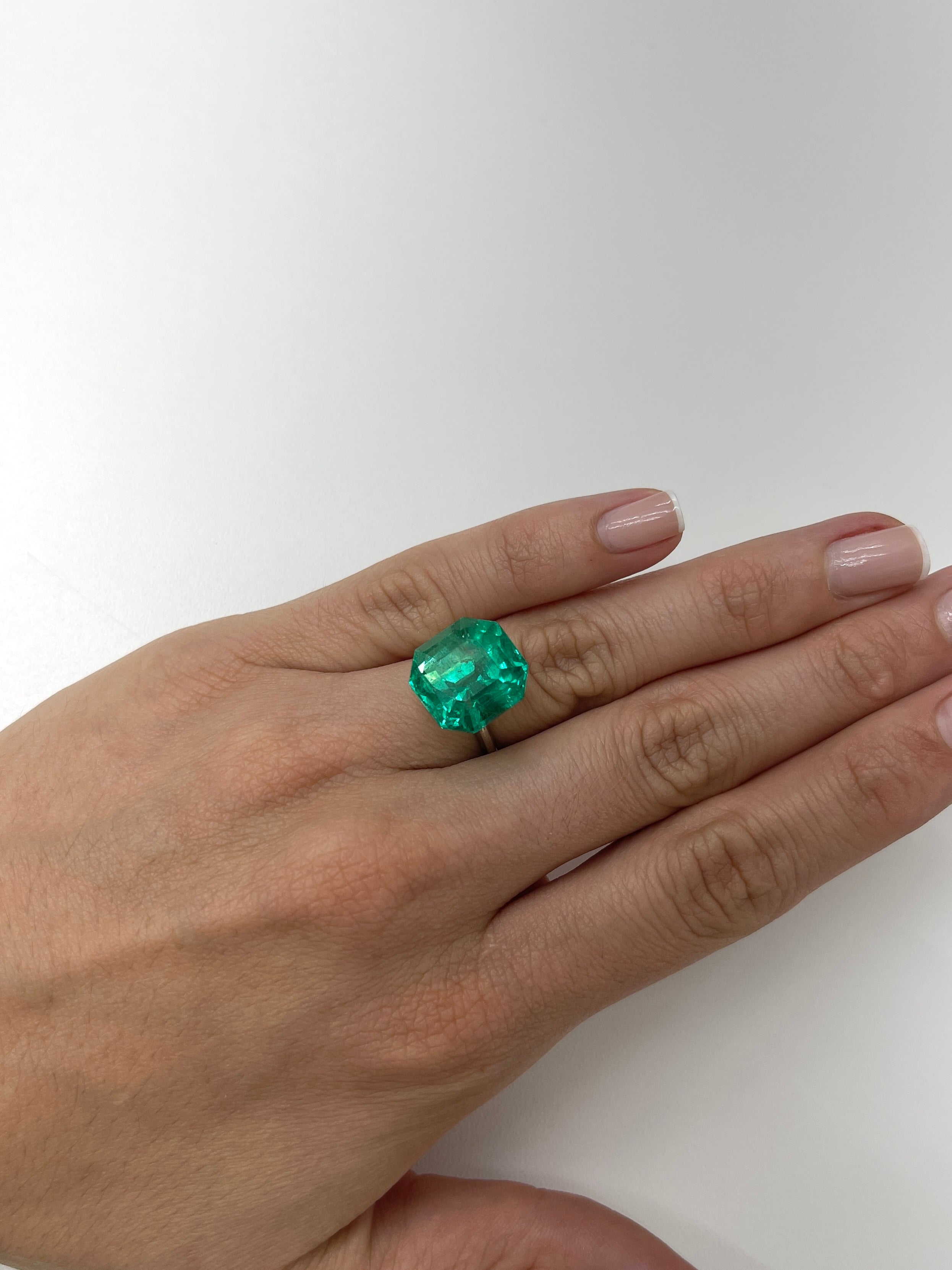 14.83 Carat AAA+ Colombian Loose Emerald - Asscher Cut Gemstone for Jewelry Making & Engagement Rings