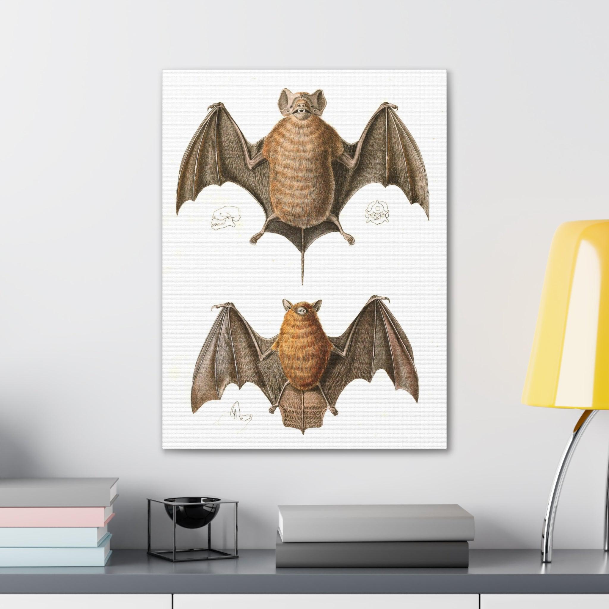 Free Tailed Bats Wall Art - Stunning Wildlife Illustration Canvas Print for Home & Office Decor - Perfect for Nature Lovers, Bat Enthusiasts, and Gothic Interior Design