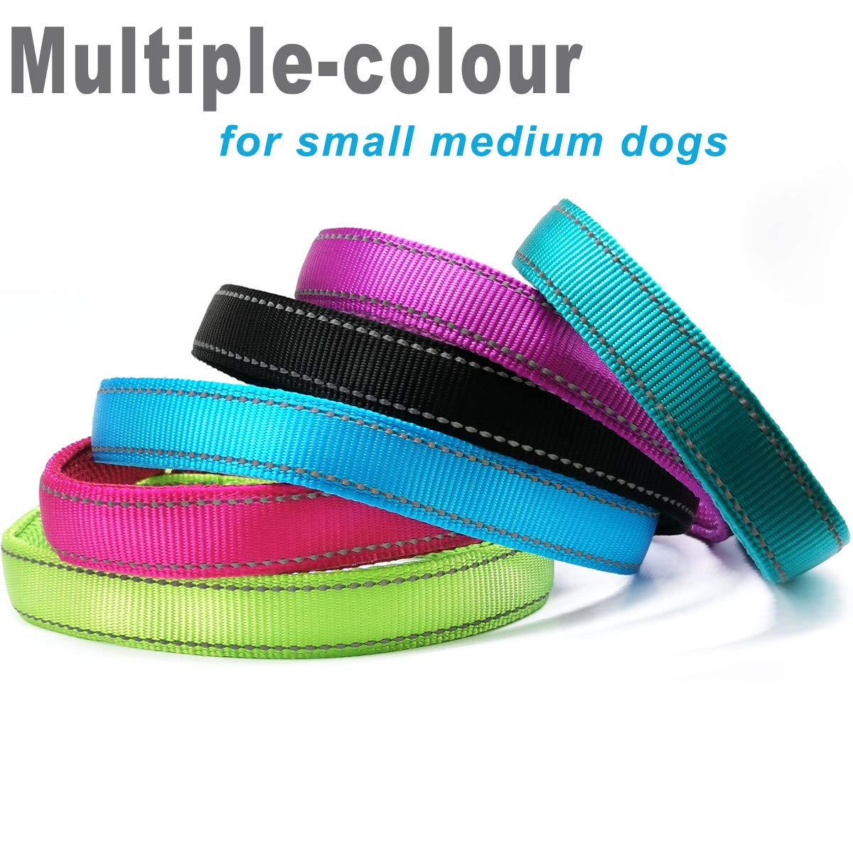 Reflective Dog Leash & Collar for Small Medium Dogs - Training & Night Walking Safety