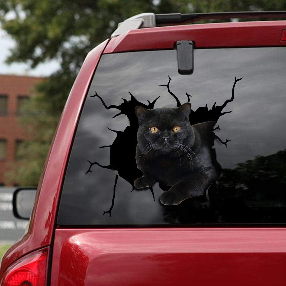 British Shorthair Cat Car Decals Pack of 2 - 8