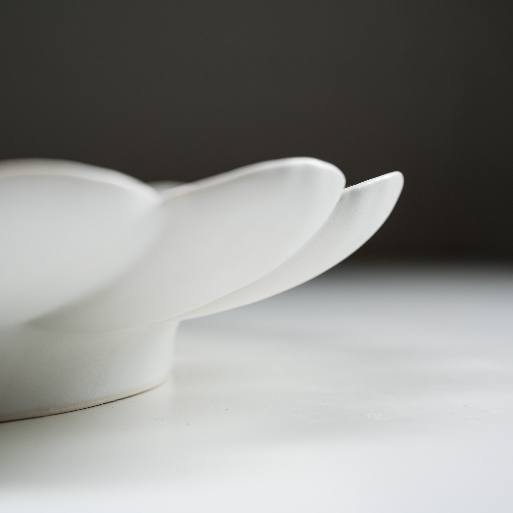 Handmade Usuki Ware Rinka Large Plate 29cm - Japanese Ceramic Dinner Plate for Sushi, Tempura & Special Occasions