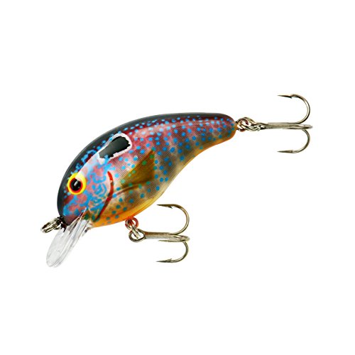Sun Perch