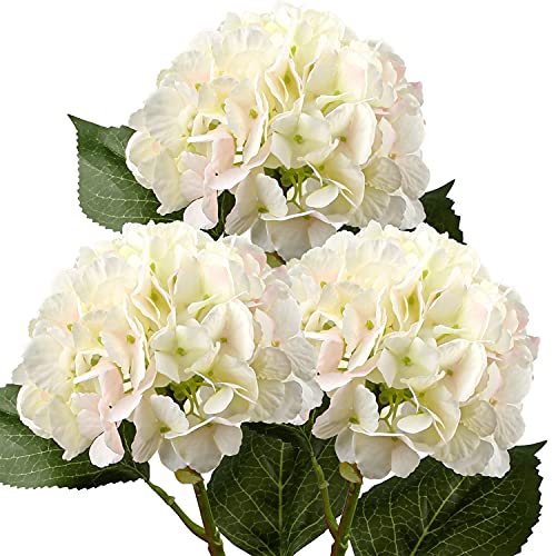 White Pink