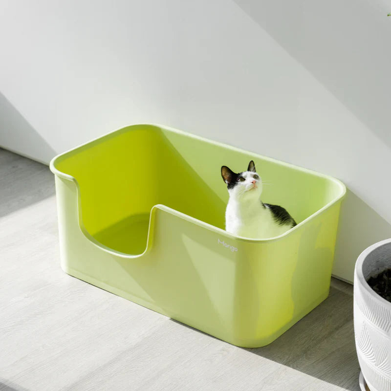 Premium Mango Open Litter Box for Large Cats - Extra Spacious Design for Comfortable Use | Ideal for Maine Coons, Ragdolls & Big Breeds | Perfect for Home, Apartment & Multi-Cat Households