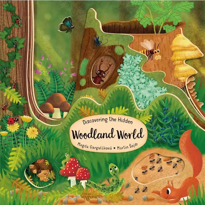 Discovering the Hidden Woodland World - Interactive Board Book for Kids | Nature Exploration & Early Learning | Perfect for Bedtime Stories & Preschool Education