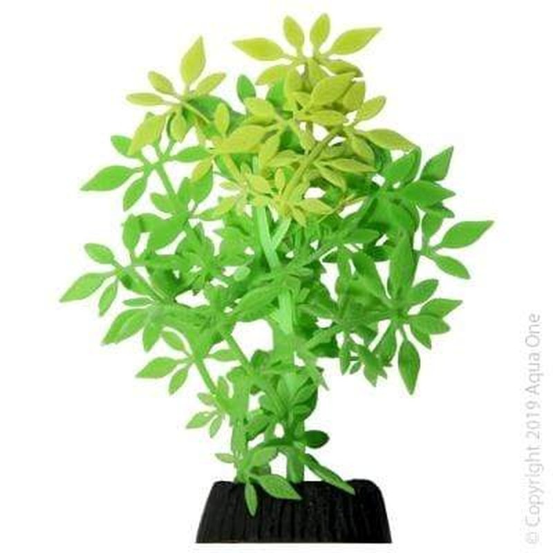 Aqua One Flexiscape Small Crystalwort Green Aquatic Plants 13.5cm - Perfect for Freshwater Aquariums & Fish Tanks
