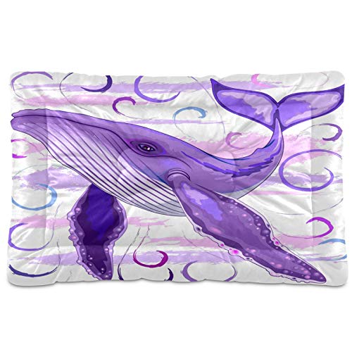 Purple Humpback Whale