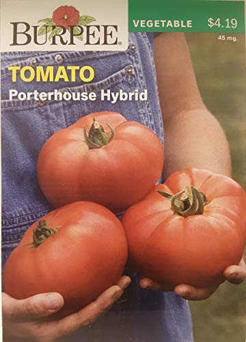 Porterhouse Hybrid