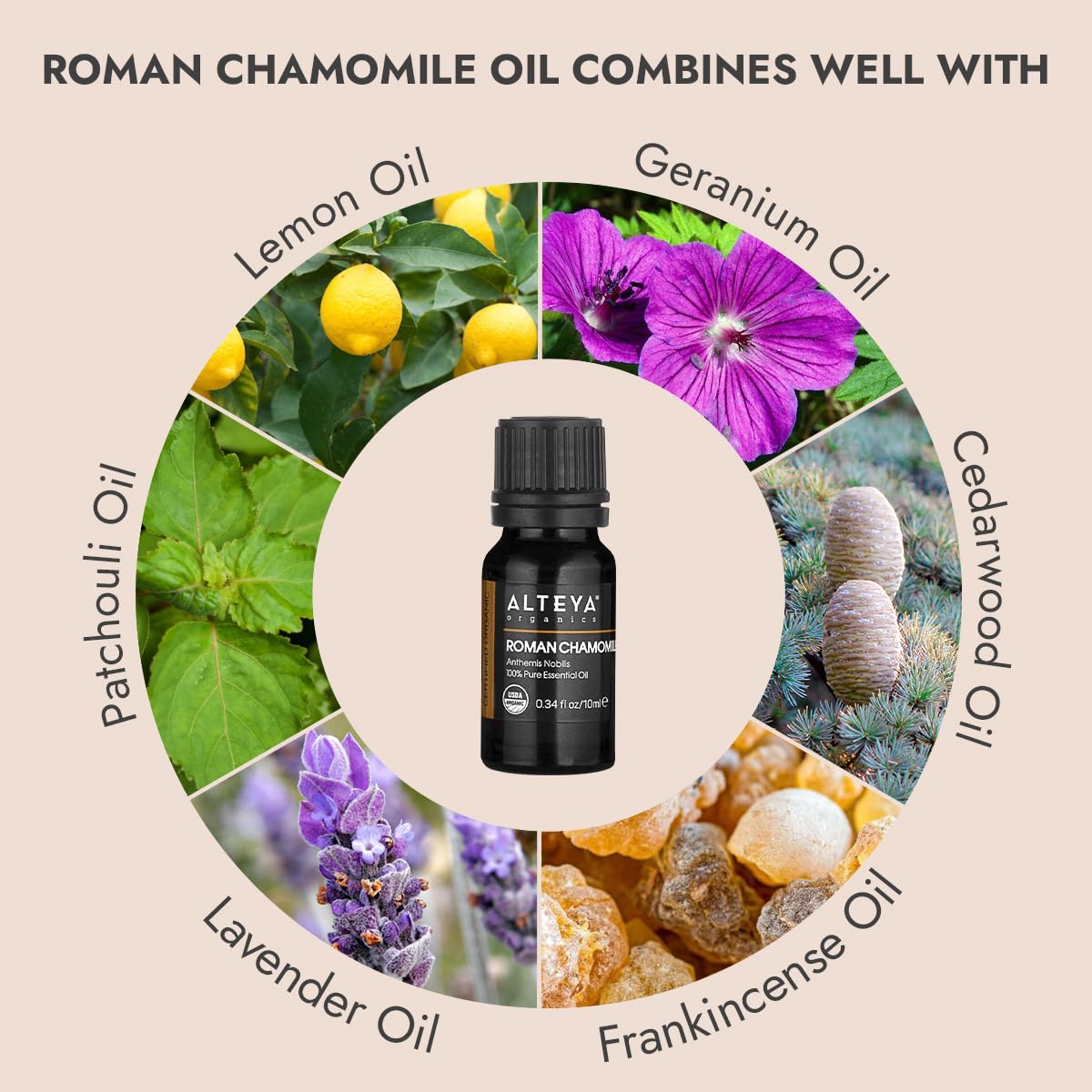 Alteya Organics USDA Certified Organic Roman Chamomile Essential Oil (Anthemis Nobilis) - 0.34 Fl Oz/10 mL Steam-Distilled Aromatherapy Oil for Relaxation, Massage & Skin Care