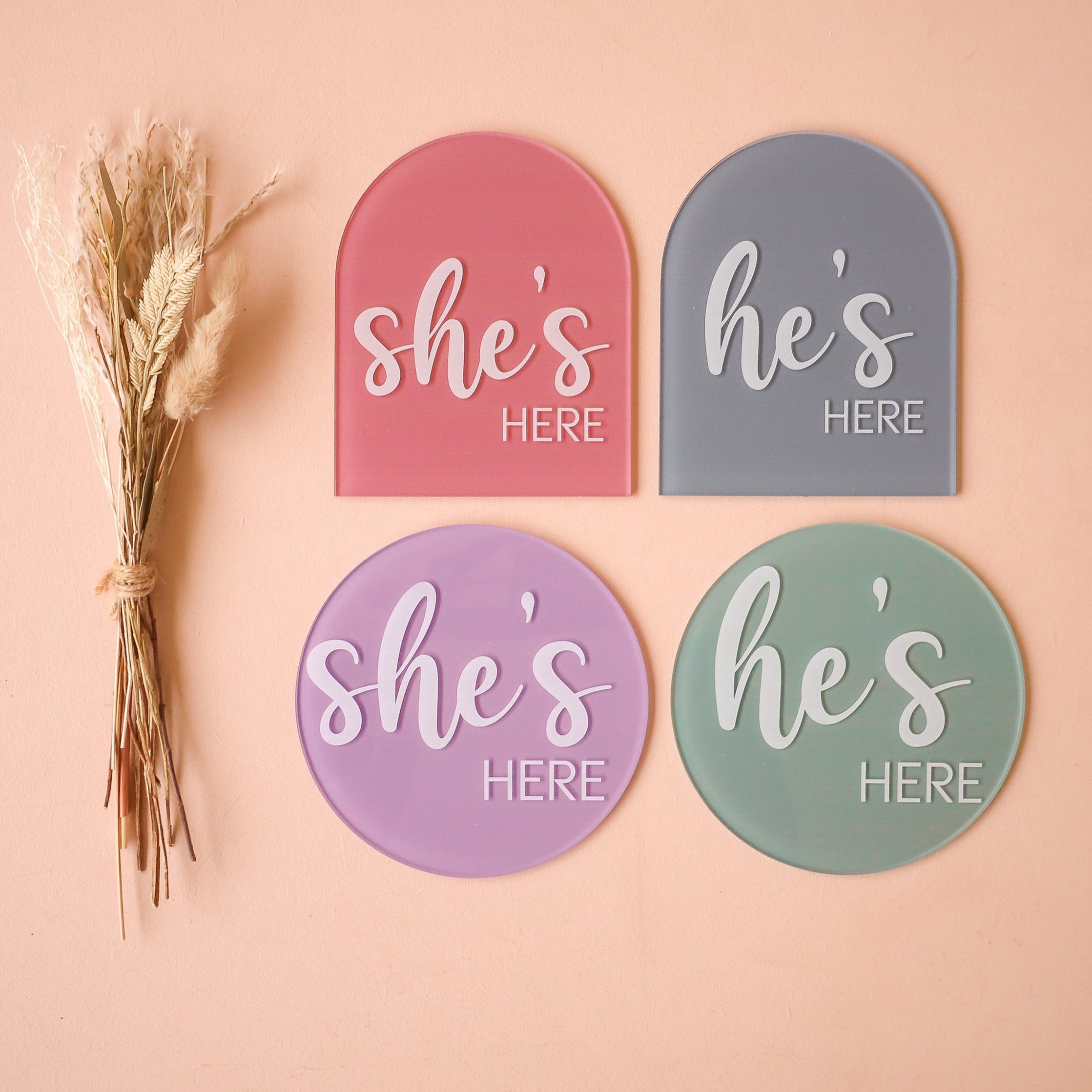 Acrylic Disc - Customizable She/He/I'm Here Sign - Perfect for Home Decor, Office Desk & Gift Giving