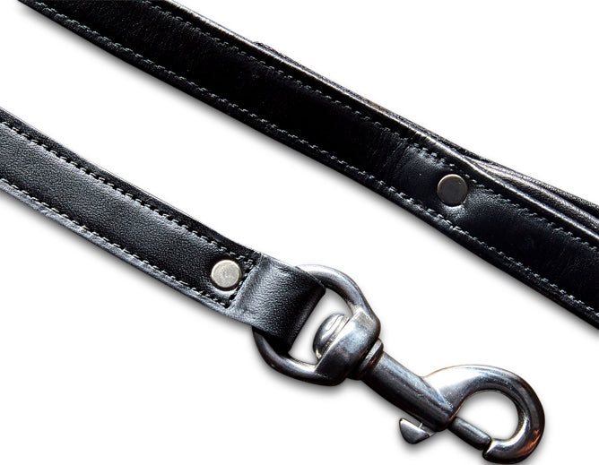 Rover Padded Handle Dog Leash - Comfortable & Durable for Walking, Training, and Outdoor Adventures