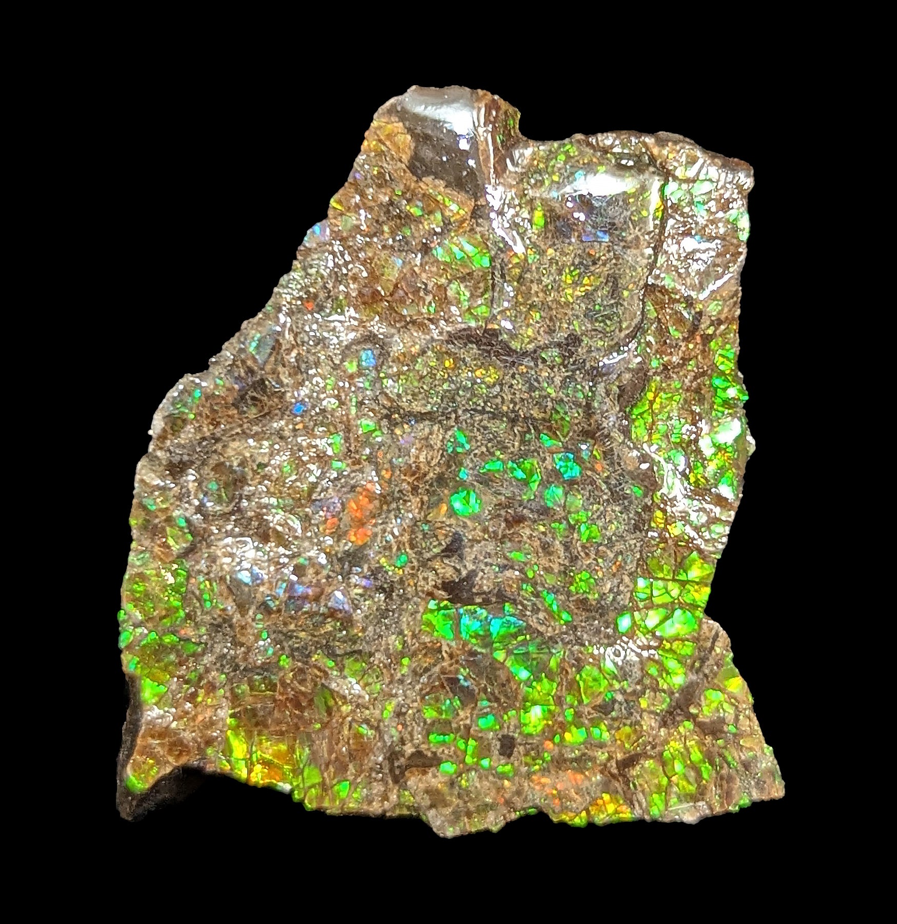 Natural Ammolite Gemstone Fragment - Rare Iridescent Fossil Shell Jewelry Making Supply for Necklaces, Rings & DIY Crafts