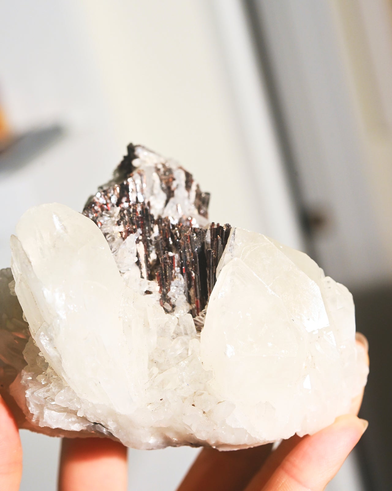 Natural Hubnerite with Quartz Crystal Specimen - 3 Inch Mineral Collection for Healing, Meditation & Home Decor
