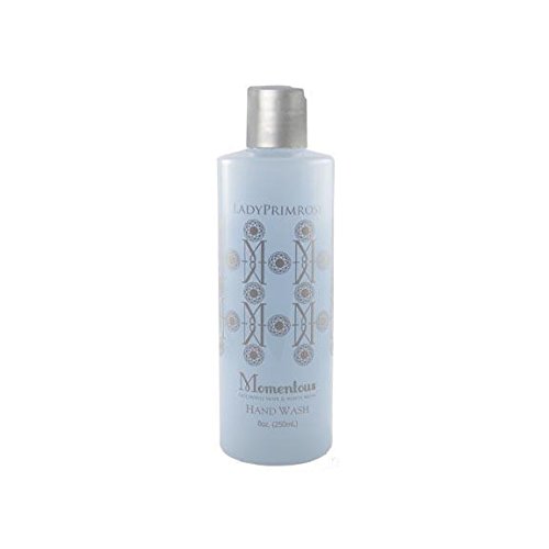 Antibacterial Hand Wash with Moisturizing Aloe Vera - Gentle & Effective for Daily Use at Home, Office, and Travel