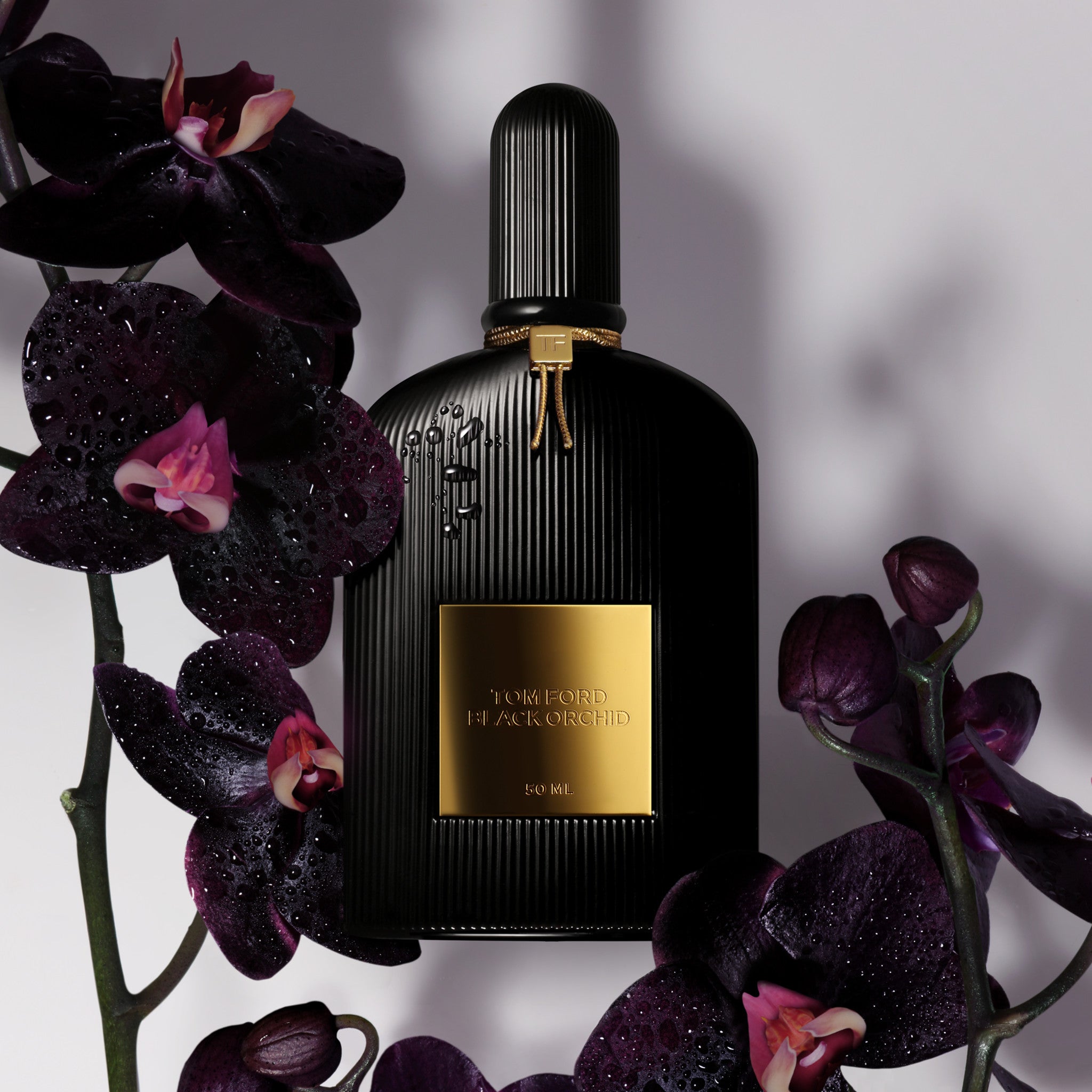 Black Orchid Eau de Parfum by Tom Ford - Luxury Floral Vanilla Perfume for Women, Long-Lasting Fragrance for Date Night & Special Occasions