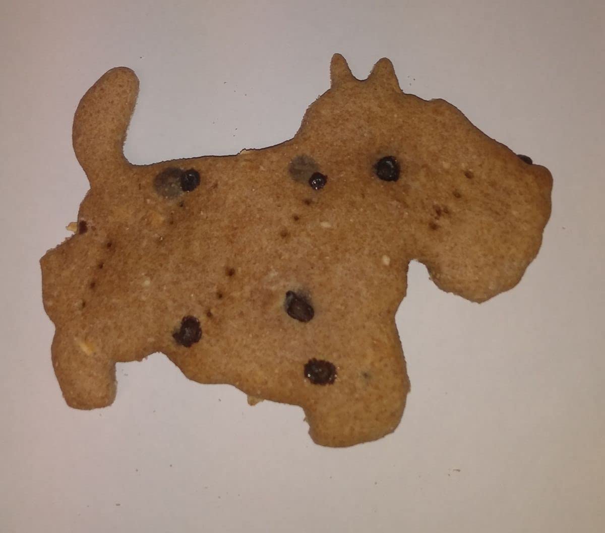 Organic Carob, Oats & Peanut Butter Dog Treats for Large Breeds - Healthy Natural Snacks for Training, Rewards & Dental Care