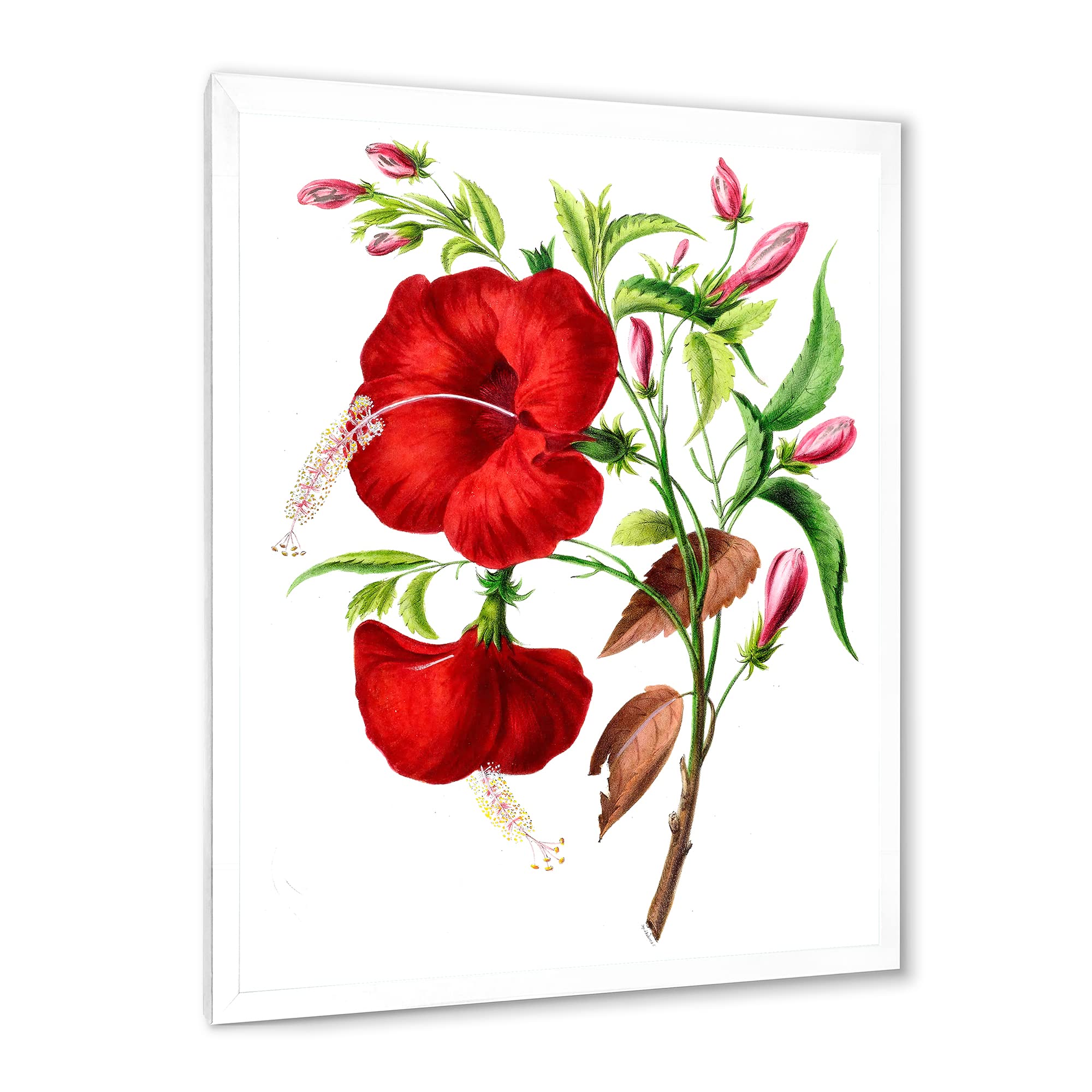 Pink Bird on Flowering Branch - Traditional Framed Wall Art Painting for Living Room, Bedroom & Office Decor