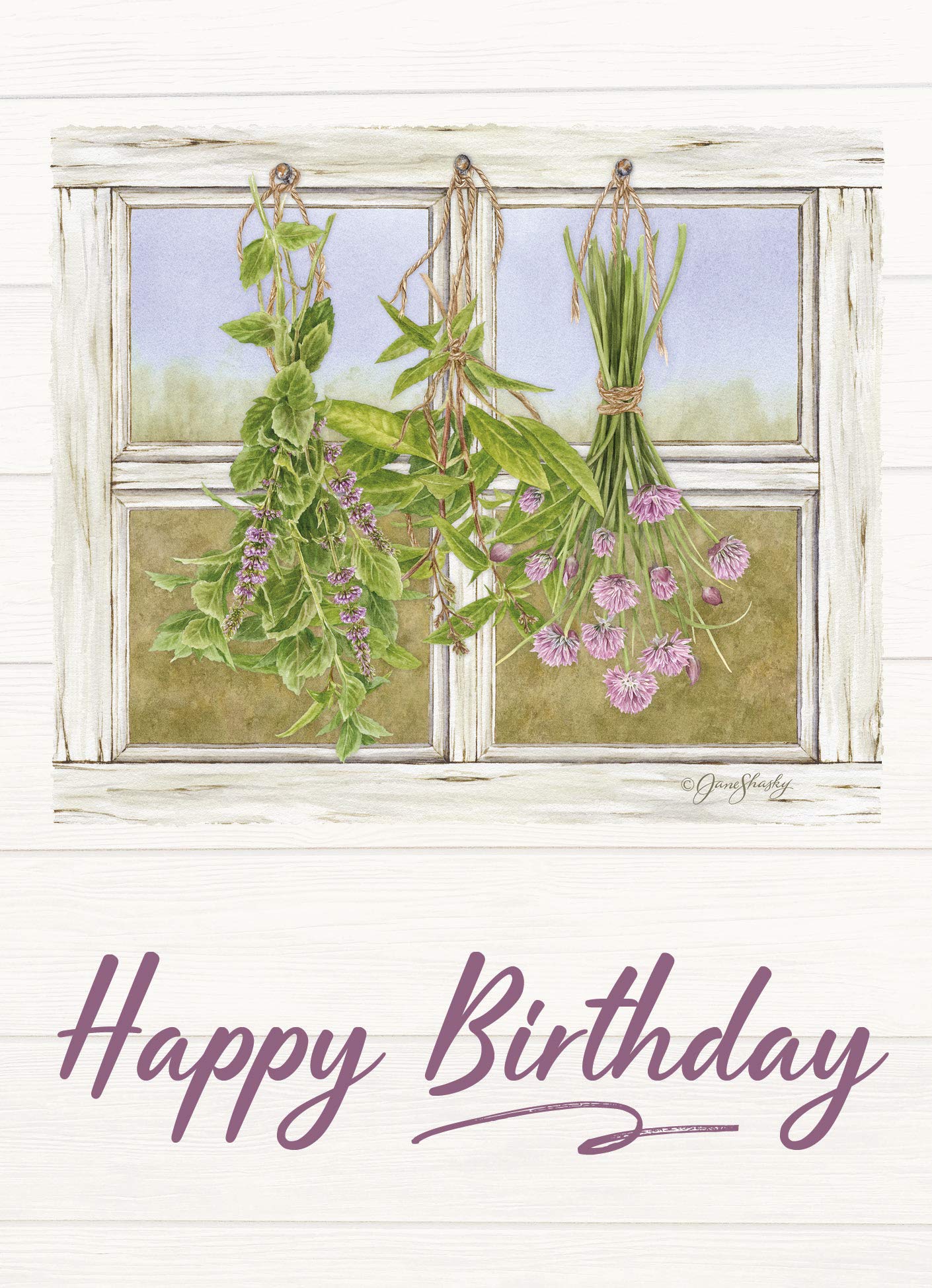 HTL Card Boxed Birthday Herb Garden Kit - Set of 12 Greeting Cards with Envelopes | Perfect for Birthday Gifts, Thank You Cards & Home Gardening Enthusiasts