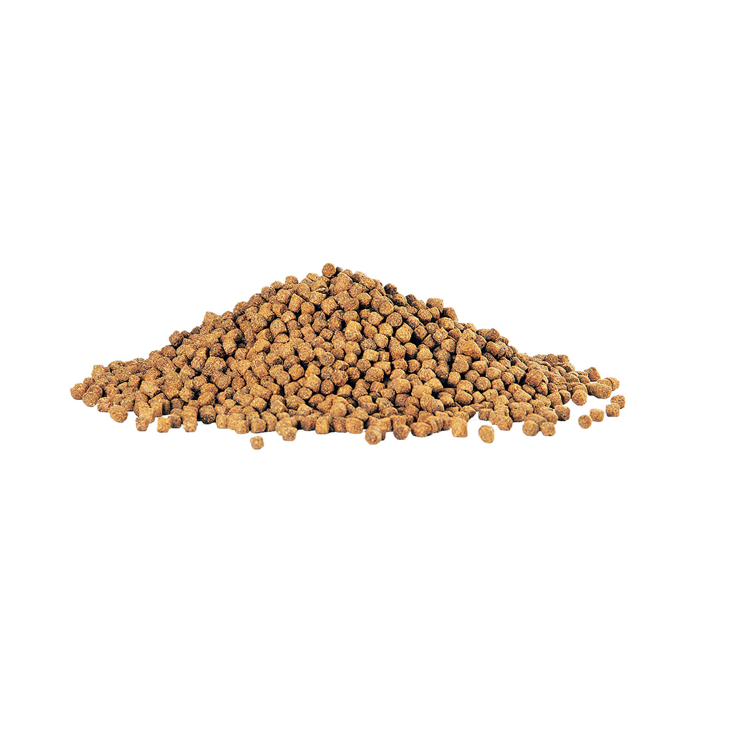 Aqueon Cichlid Slow Sinking Fish Food Pellets - Medium Size 25oz | Tropical & African Cichlid Diet | Ideal for Aquariums & Fish Tanks