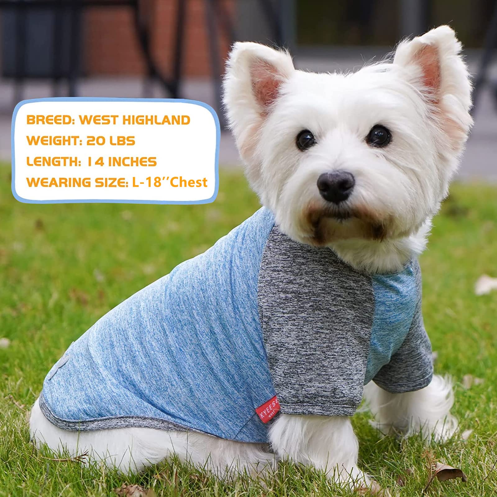 KYEESE 2 Pack Quick Dry Breathable Stretchy Dog T-Shirts with Reflective Label & Raglan Sleeves - Large Dog Clothes for Walking, Running & Outdoor Activities (Blue+Grey, 3XL)
