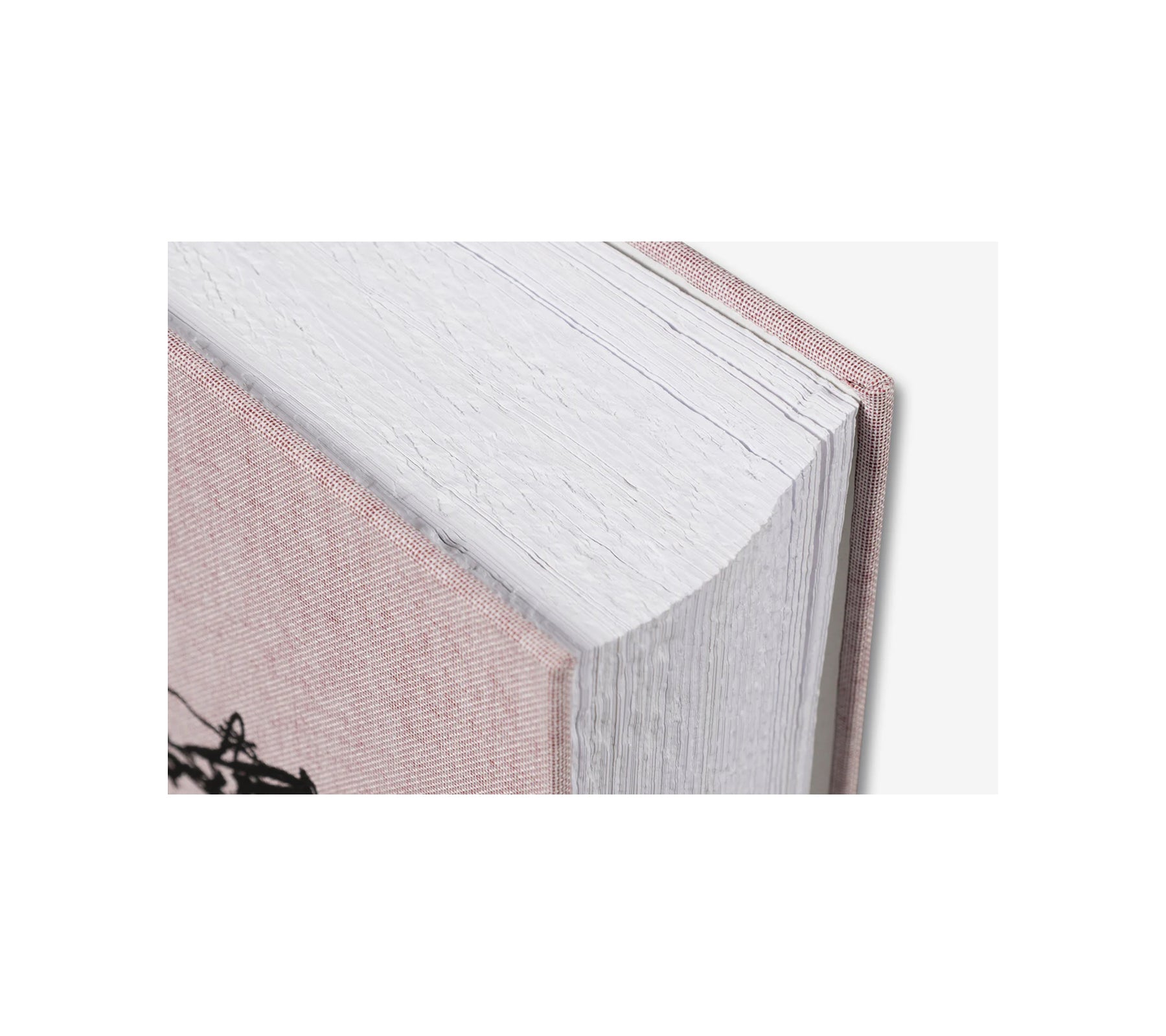 ANATOMY by Do Ho Suh - Signed Limited Edition Art Book | Contemporary Art Collection for Home Decor & Gift Giving