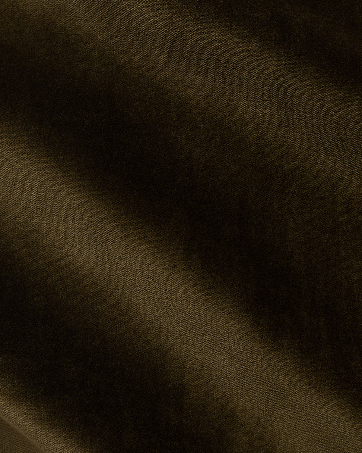 Olive Velvet