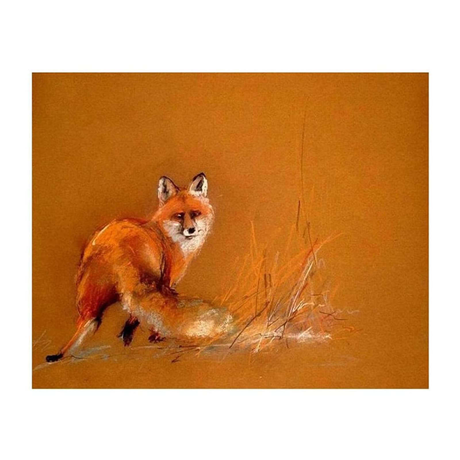 Fox Animal Paint by Numbers Kit for Adults & Kids - DIY Oil Painting Digital Canvas 40x50cm - Cute Wall Art Home Decor for Living Room, Bedroom & Office