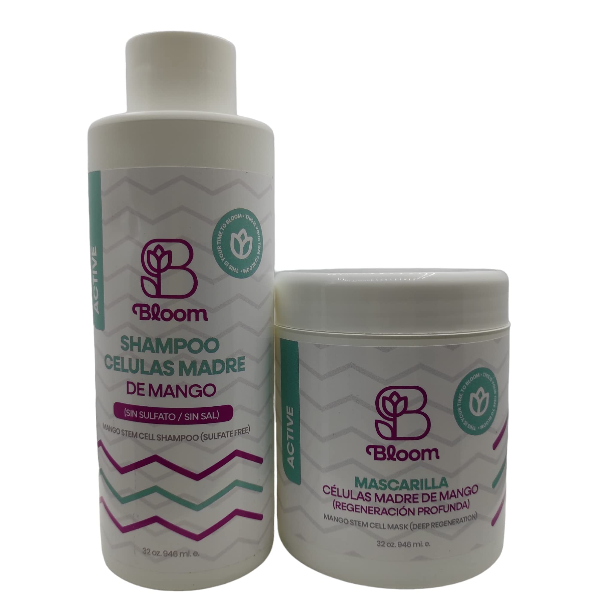 Bloom Hair Products - 2-Step Stem Cell Hair Care Kit with Moisturizing Shampoo & Leave-in Treatment - Protects Hair Shaft for Softness & Shine - Perfect for Dry, Damaged Hair & Daily Hydration