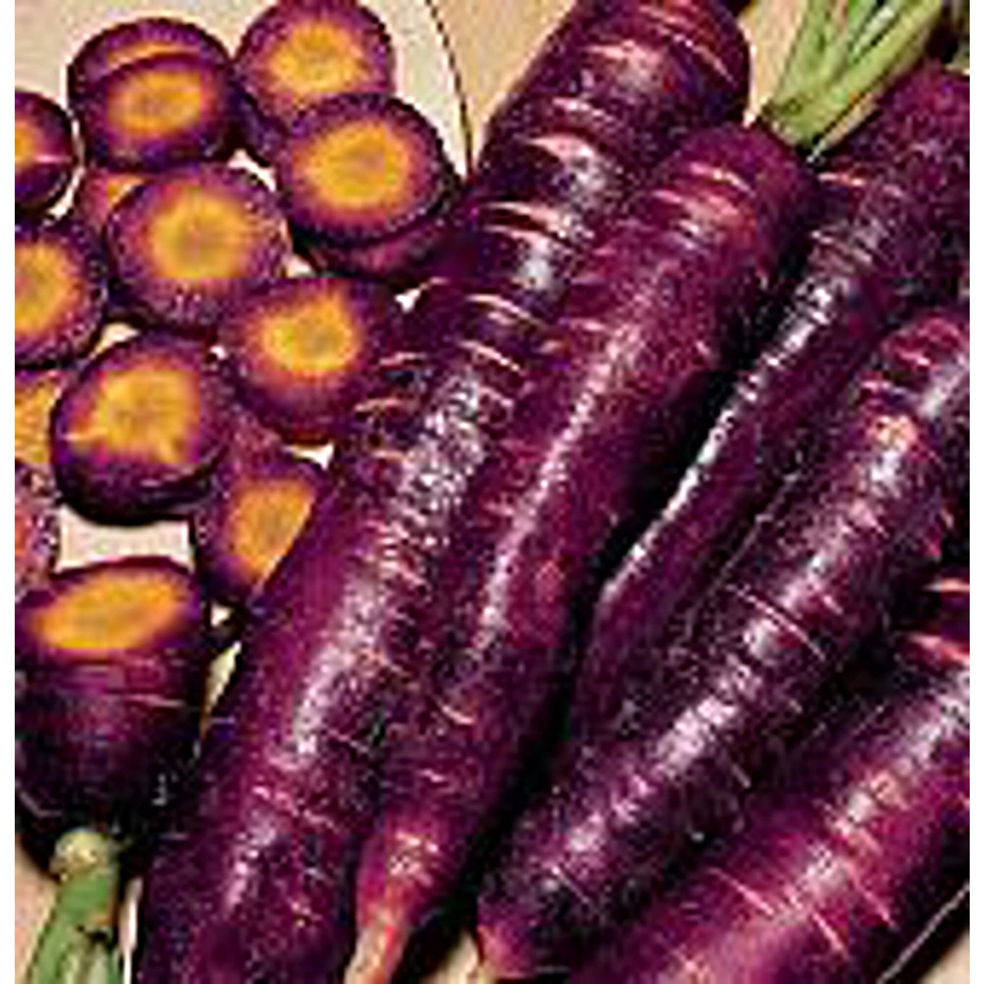 Organic Purple Dragon Carrot Seeds (20+ Count) - Non-GMO Heirloom Vegetable Seeds for Planting | Home Garden, Greenhouse & Container Gardening | Perfect for Salads, Juicing & Healthy Snacks