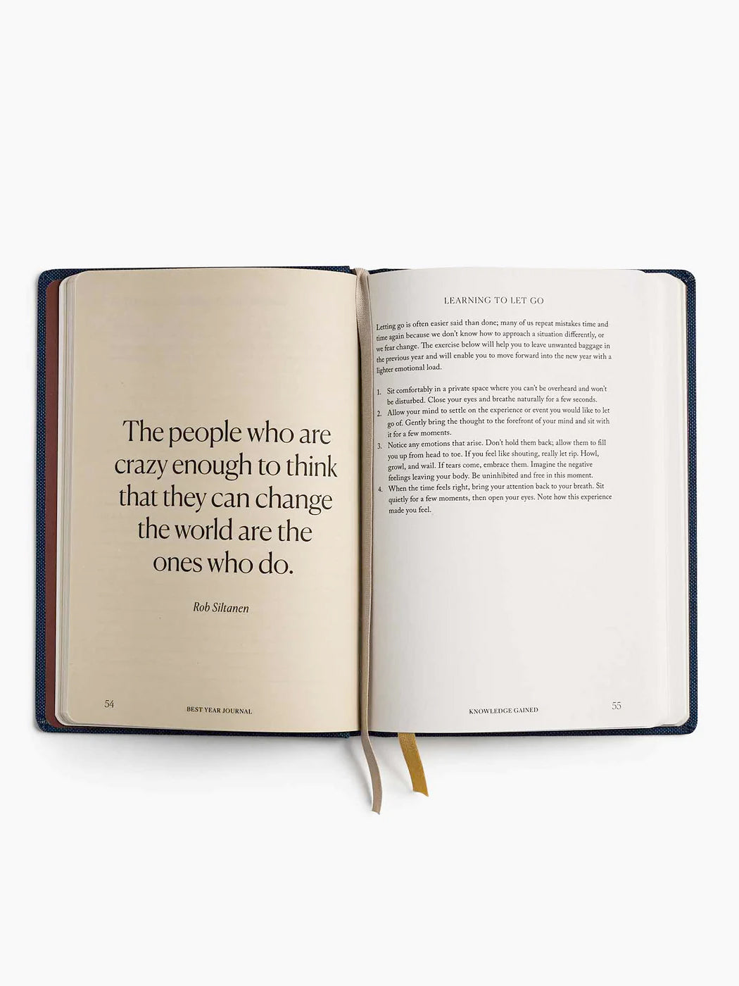 The Best Year Journal by Intelligent Change - Daily Planner for Goal Setting & Gratitude - Perfect for Personal Growth, Self-Reflection & Productivity (Blue)
