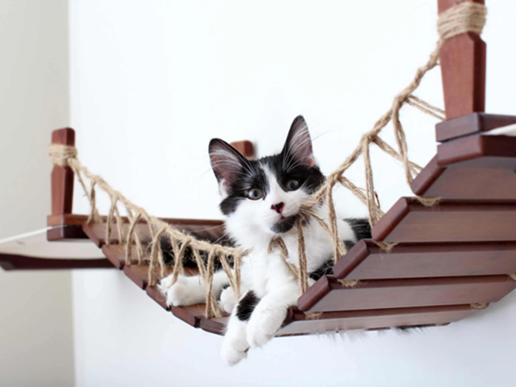 Wall-Mounted Cat Bridge with Fabric Lounger - Space-Saving Cat Tree for Indoor Play & Relaxation | Perfect for Small Apartments & Kitty Nap Zones