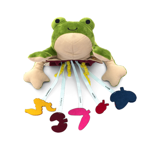 Froggie Dissection Lab Kit - High Quality Biology Science Classroom Supplies for Students & Teachers | Perfect for STEM Education, Homeschool Learning & Science Fair Projects
