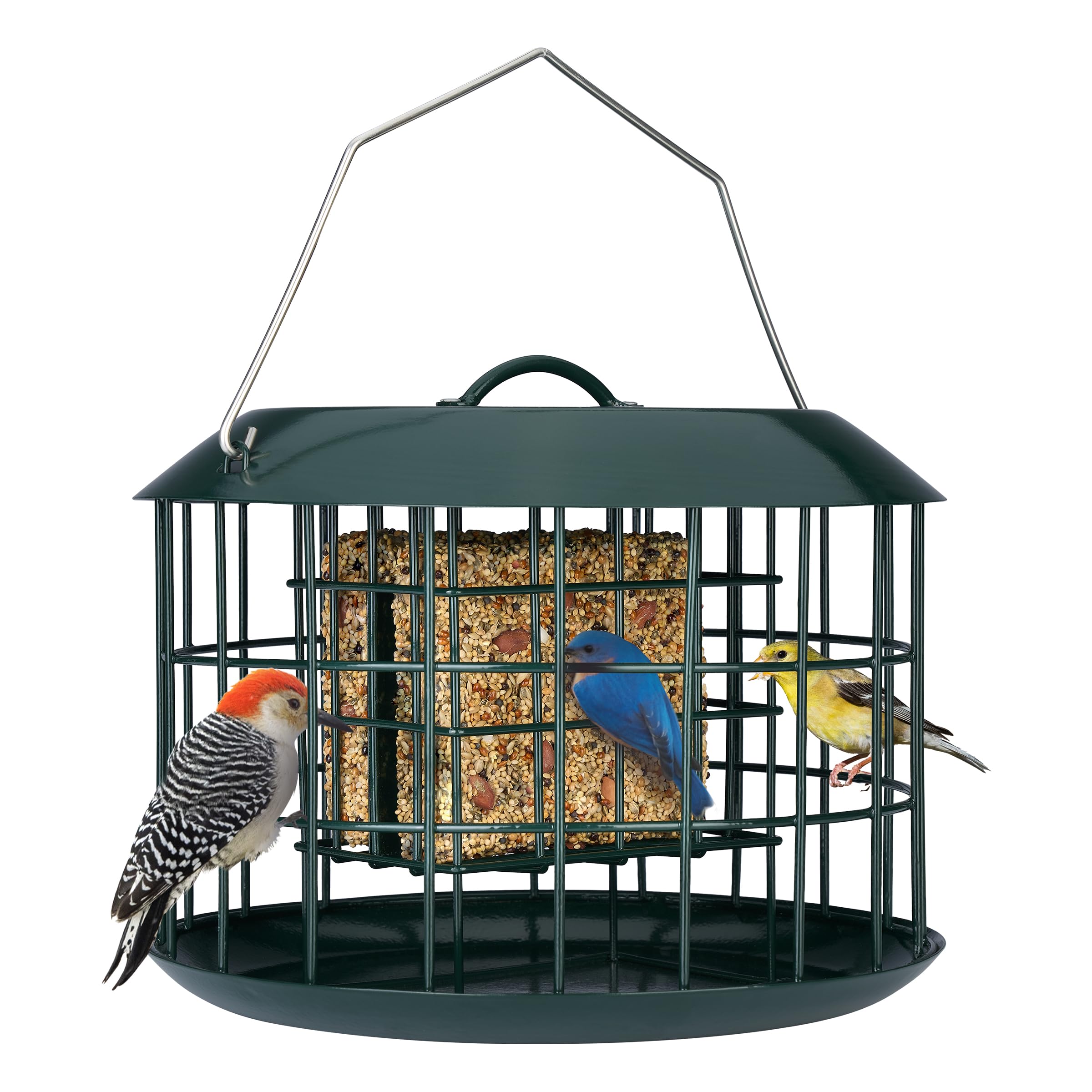 Kingsyard Squirrel Proof Suet Feeder - All Metal Outdoor Hanging Bird Feeder with Double Suet Cake Capacity, Tray & Weatherproof Design (Green) - Perfect for Backyard, Garden & Wild Bird Watching
