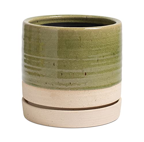 Green & Beige