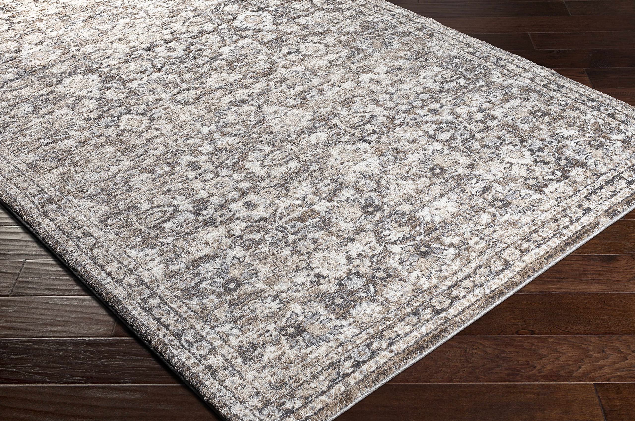 Hauteloom Talihina Soft High Pile Area Rug for Living Room & Bedroom - 2' x 3' - Gray, Beige, Brown - Plush & Cozy Home Decor for Relaxing Spaces