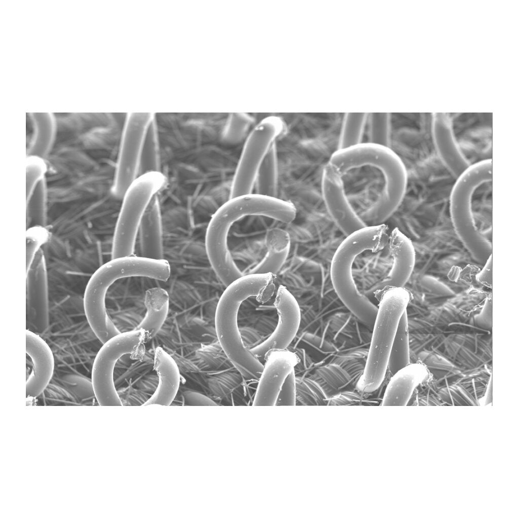 3M Clean Sanding Pad Hook Saver 28325 - 3 in x 4 in with 33 Holes - Premium Sanding Disc for Woodworking, Metal & Auto Body Repair - Perfect for DIY Projects & Professional Use