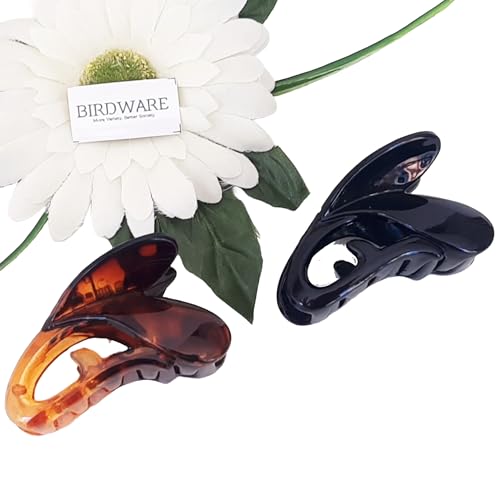 Black, Shell-2