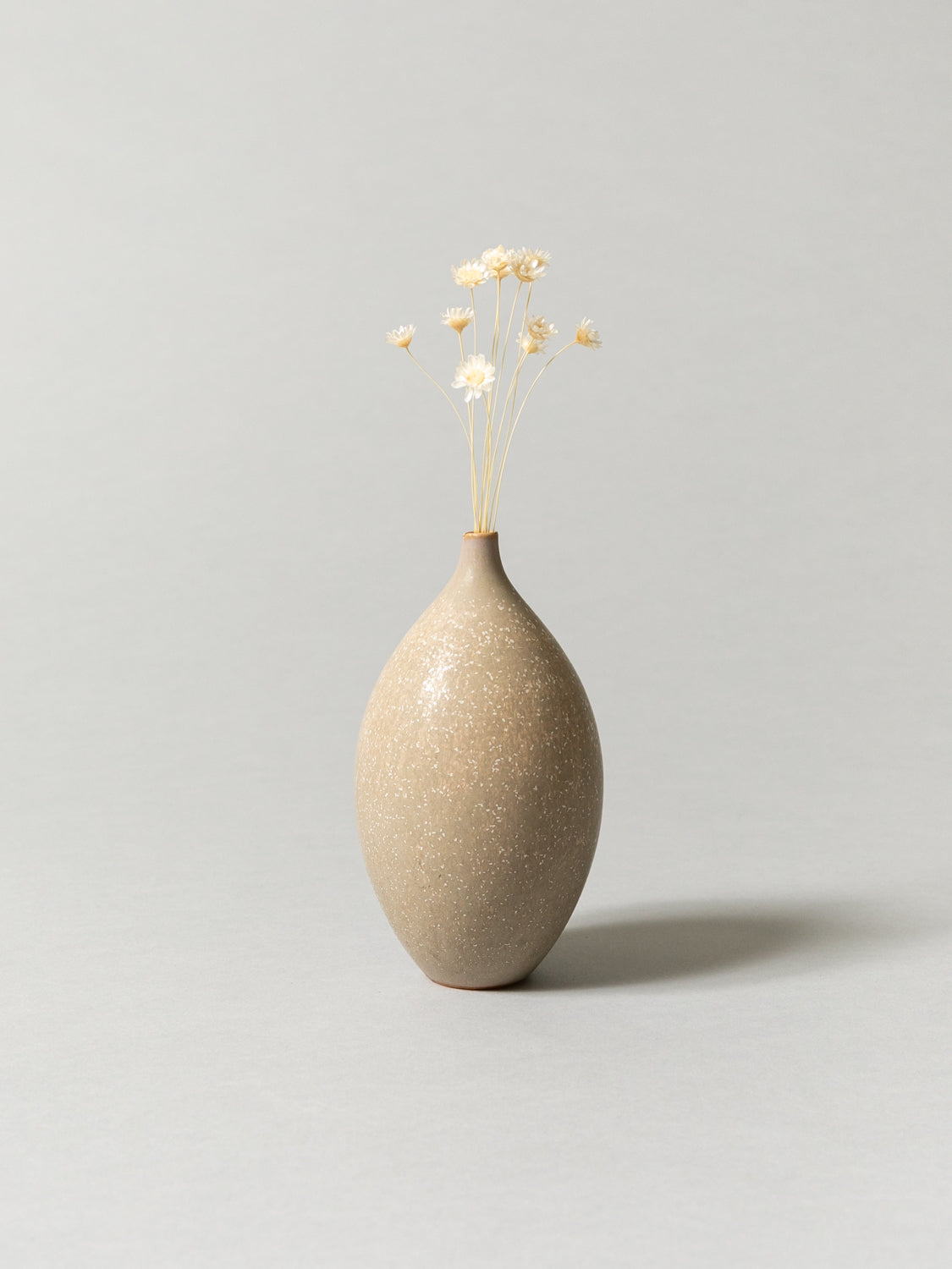 Elegant Ecru Beige Vase with Dried Starflowers - Perfect for Boho Home Decor, Wedding Centerpieces & Farmhouse Style Living Room Accents