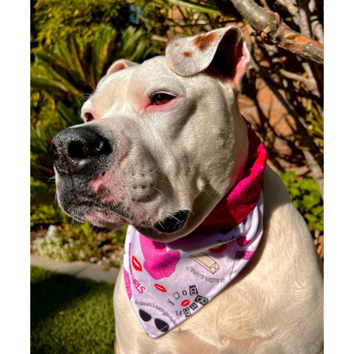 Mean Girls Reversible Bandana - On Wednesdays We Wear Pink - Fashion Accessory for Movie Fans, Cosplay & Everyday Wear
