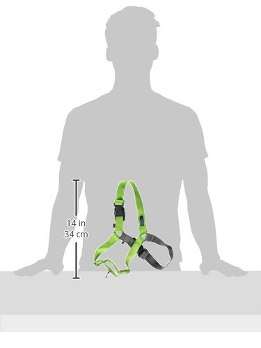 PetSafe Easy Walk No-Pull Dog Harness for Medium/Large Dogs - Stop Pulling & Improve Leash Training - Comfortable Apple Green/Gray Harness for Walking, Hiking & Outdoor Adventures