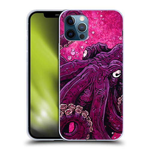 Octopus Squid