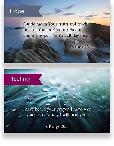 Pass Along Scripture Card Variety Pack - 12 Hand-Picked Designs, 5 of Each (Pack of 60) - Assortment 2 | Inspirational Bible Verse Cards for Church, Bible Study & Christian Gifts