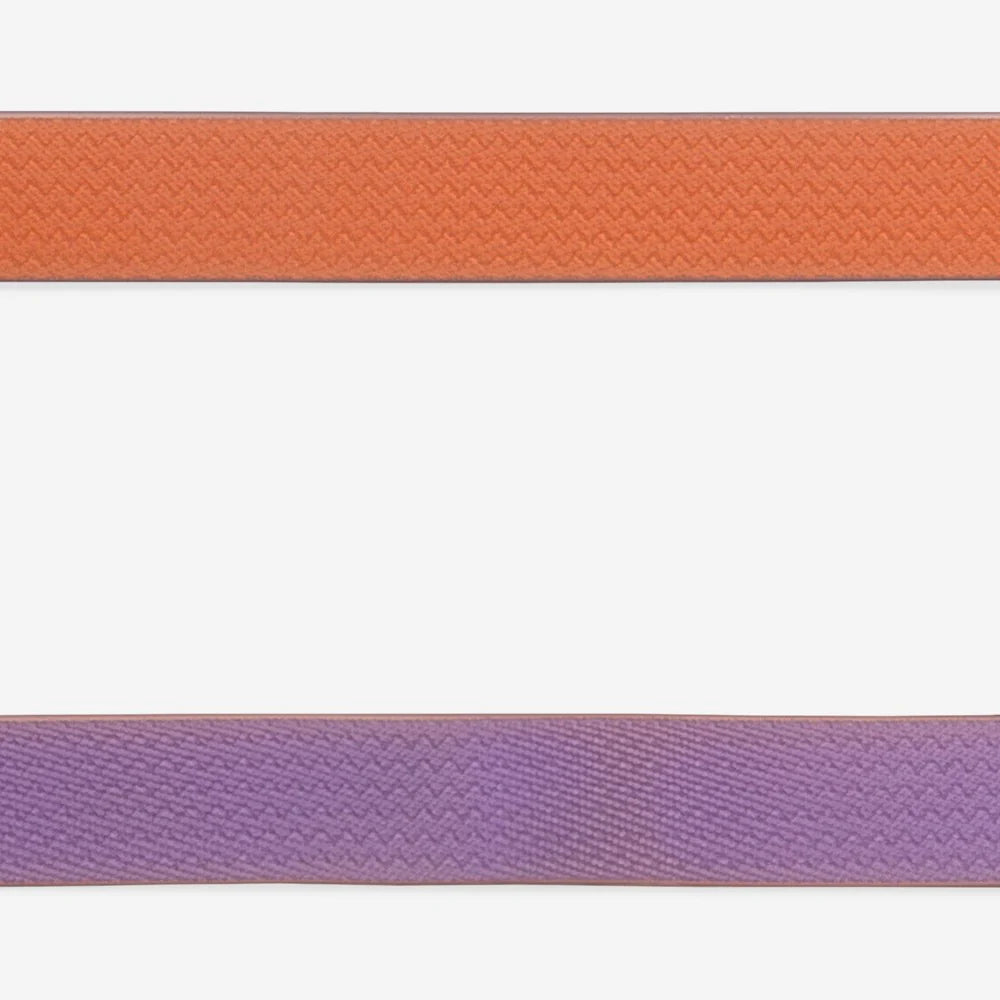 Neopro Iris Dog Collar by Zee.Dog - Durable & Stylish Pet Collar for Small & Medium Dogs - Perfect for Walks, Training & Everyday Use