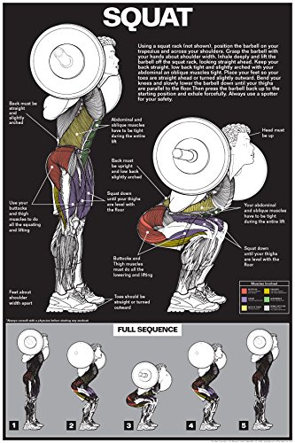 Premium Laminated Squat Workout Poster - Perfect for Home Gym, CrossFit & Fitness Training - Ideal for Beginners & Advanced Athletes