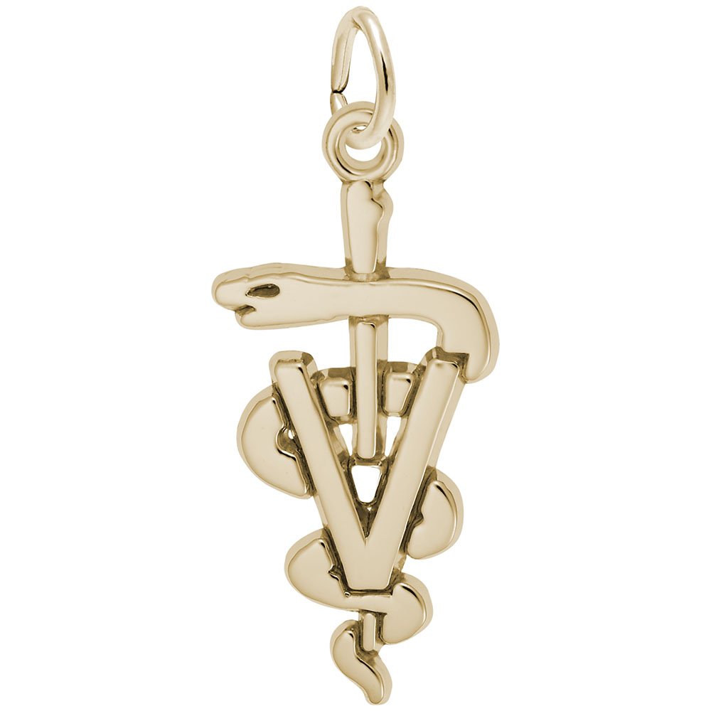10k Yellow Gold Veterinarian Charm Pendant - Dainty Animal Lover Jewelry for Bracelets & Necklaces - Perfect Gift for Vet Students, Pet Owners & Animal Care Professionals