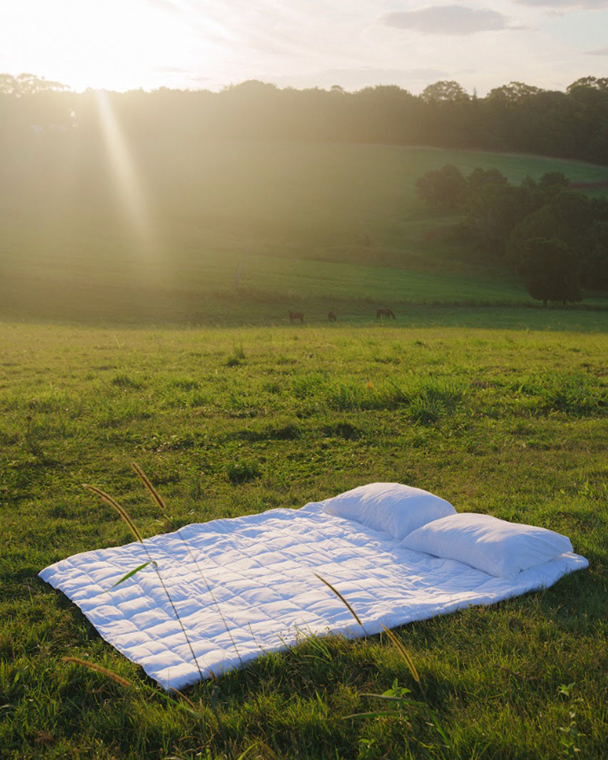 Premium All-Season Does It All Duvet Insert - Soft & Breathable Comforter for Bedroom, Guest Room & Hotel Use