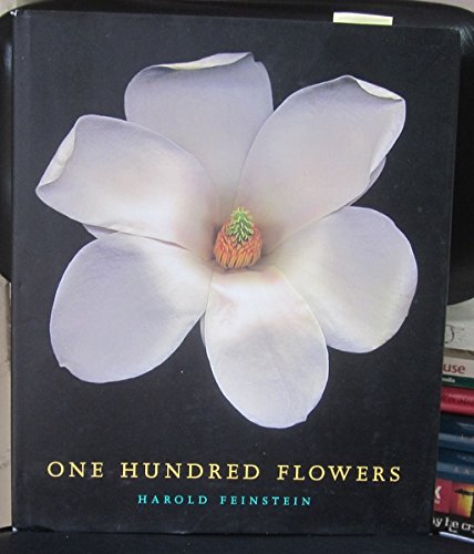 One Hundred Flowers - Premium Artificial Silk Flower Bouquets for Home Decor, Weddings & Events | Elegant Floral Arrangements for Centerpieces, Gifts & Party Decorations