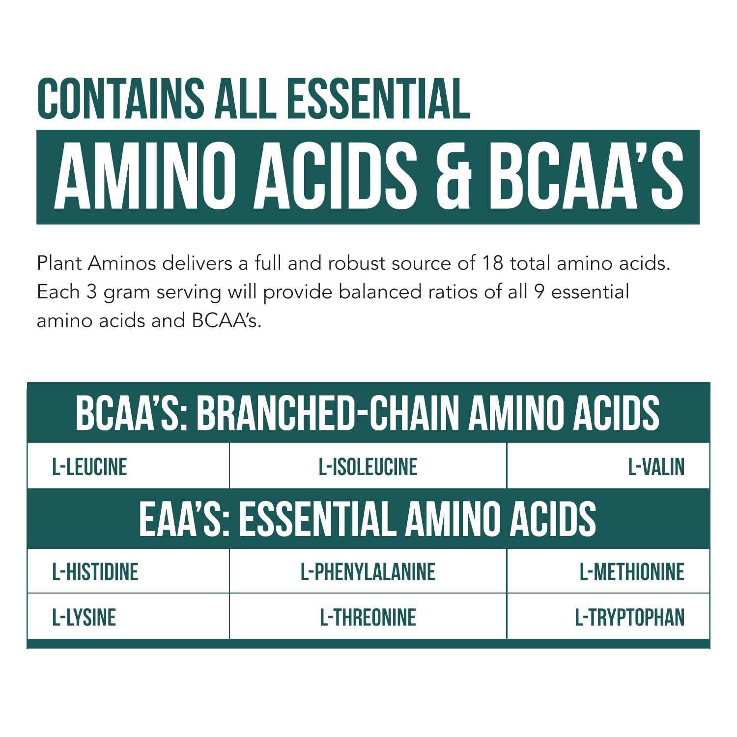 Organic Plant-Based Essential Amino Acids (EAAs) & BCAA Supplement - 100% Vegan, Raw, All 9 Essential Amino Acids + 18 Total Aminos - 360 Tablets for Muscle Recovery, Workout Performance & Vegan Nutrition