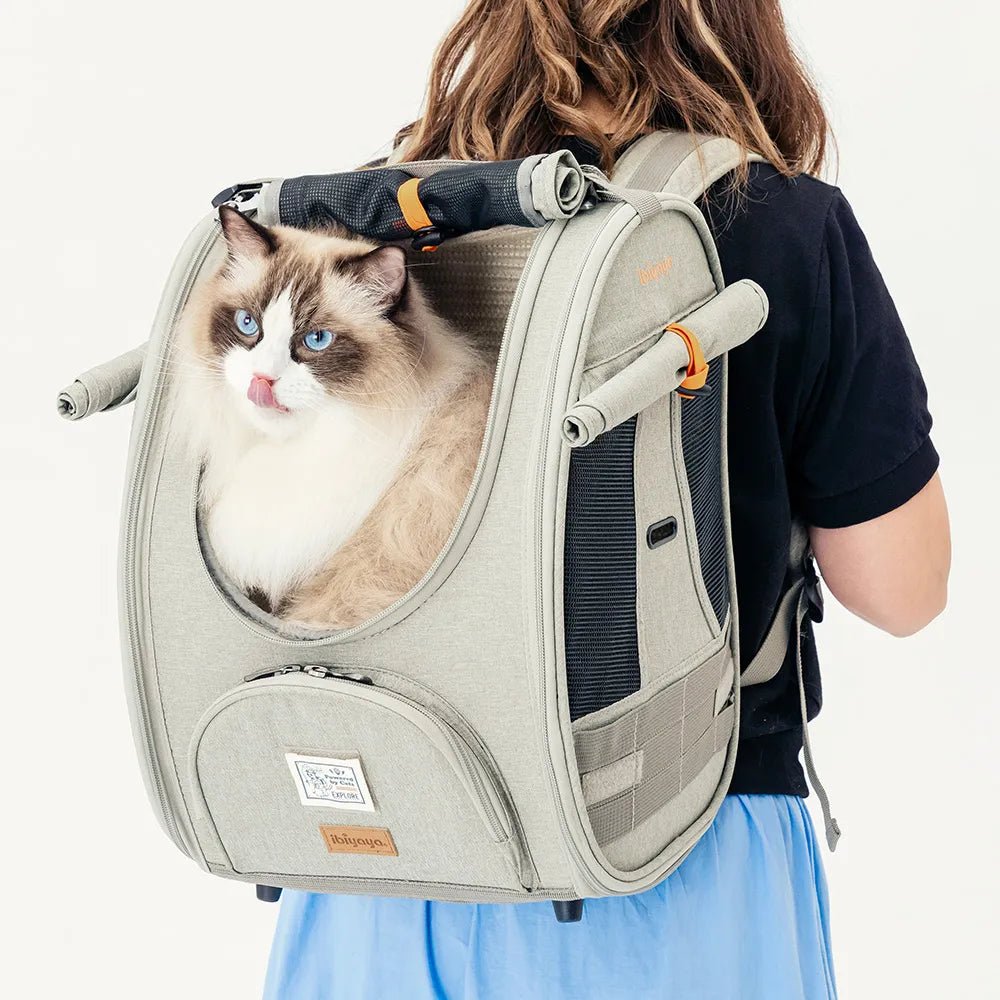 Adventure Cat & Small Dog Carrier Backpack - Lightweight Pet Travel Backpack for Hiking, Camping & Airplane Travel - Perfect for Outdoor Adventures with Your Furry Friend